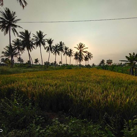 Srinivasa Homestay Hampi Bagian luar foto