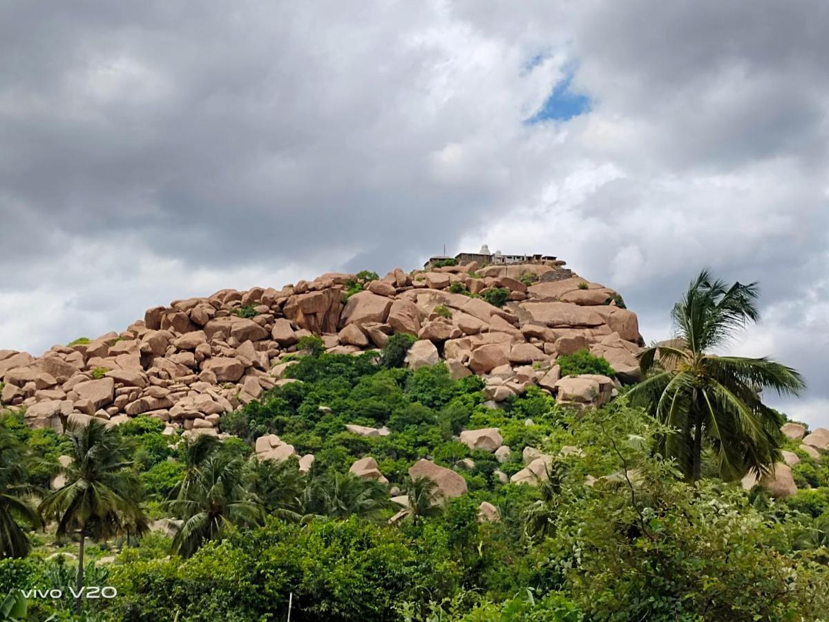 Srinivasa Homestay Hampi Bagian luar foto